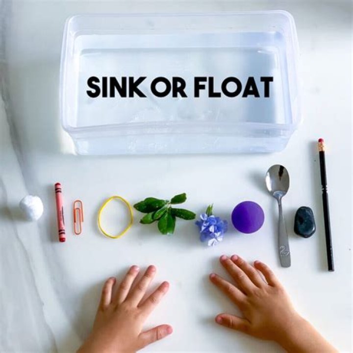 Will a wooden stick sink or float