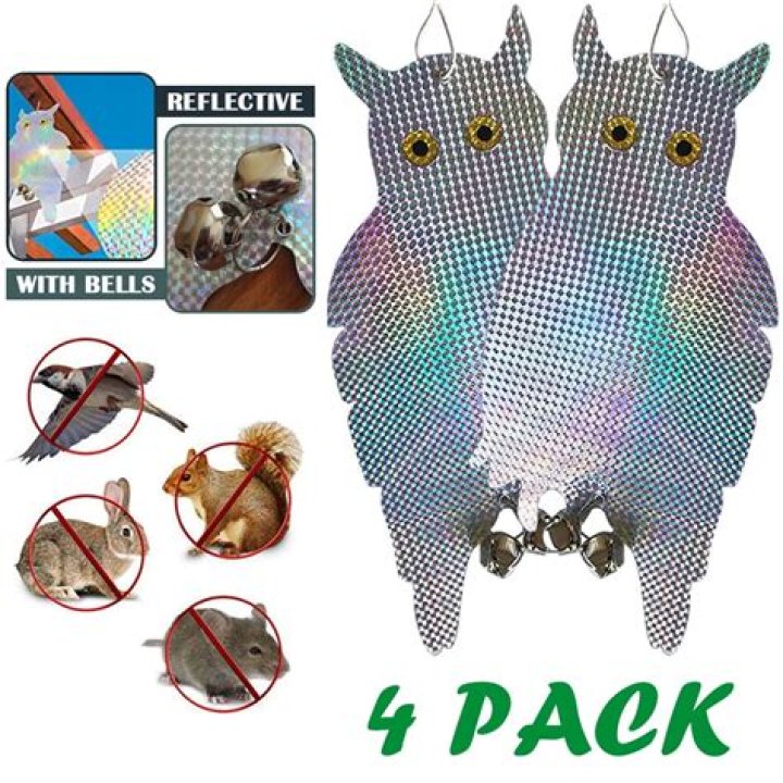 Will an owl decoy keep birds away