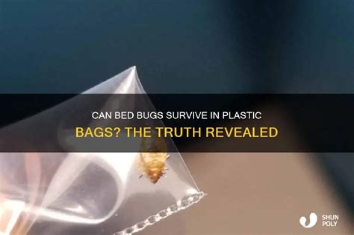 Will bed bugs die in a sealed bag