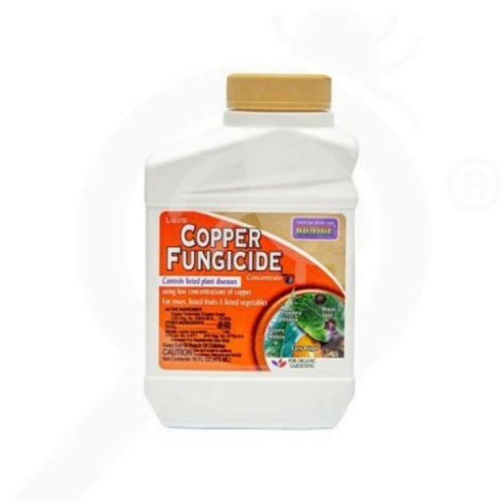 Will copper fungicide kill aphids