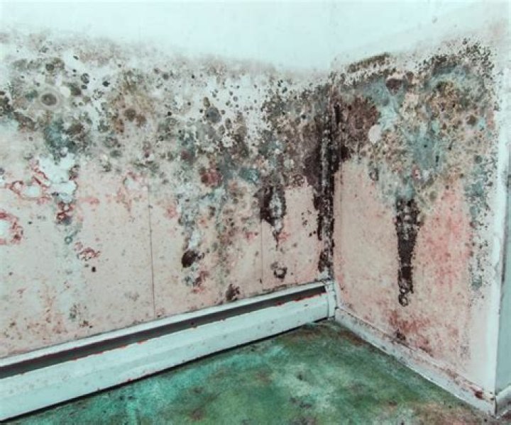 Will mold spread without moisture