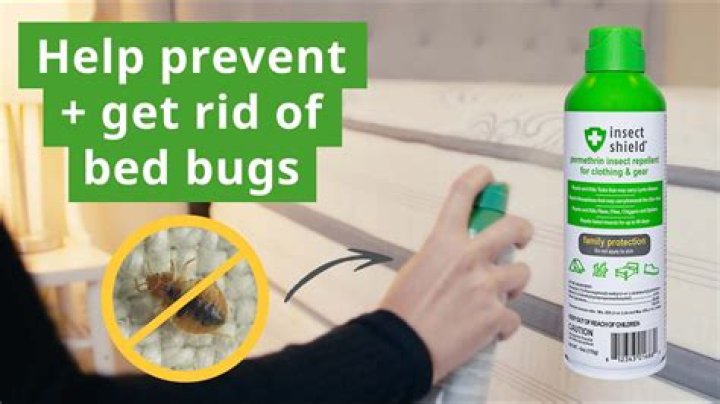 Will Permethrin SFR kill bed bugs