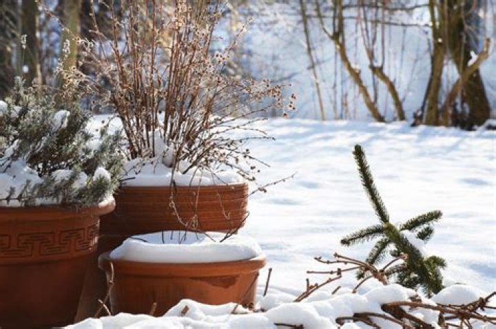 Will terracotta pots crack winter